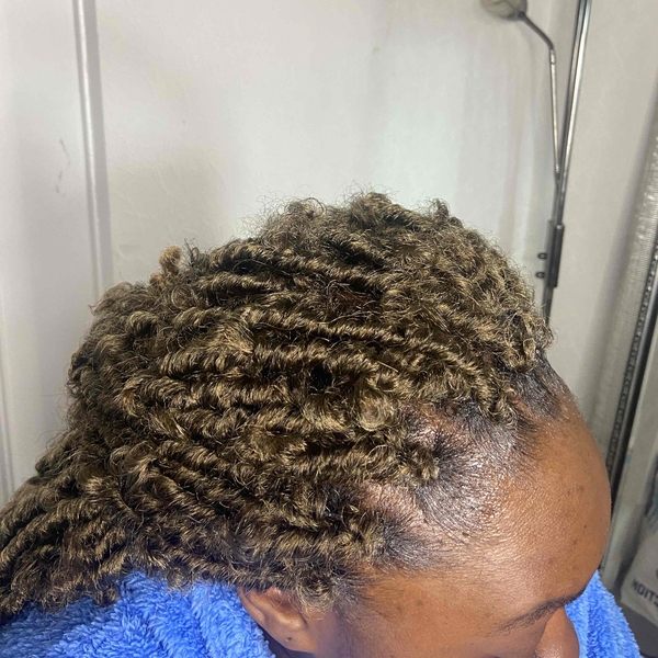 salon de coiffure afro tresse tresses box braids crochet braids vanilles tissages paris 75 77 78 91 92 93 94 95 WJPABFZX