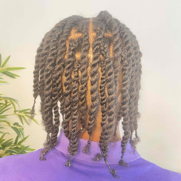 salon de coiffure afro tresse tresses box braids crochet braids vanilles tissages paris 75 77 78 91 92 93 94 95 TWQUWXQD