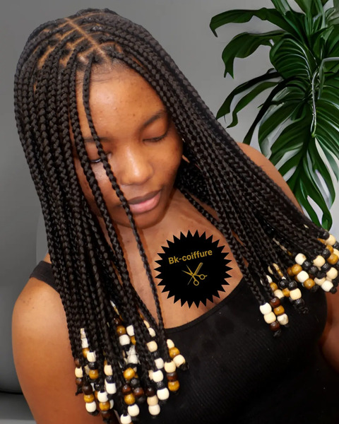 salon de coiffure afro tresse tresses box braids crochet braids vanilles tissages paris 75 77 78 91 92 93 94 95 RYWXYBWE