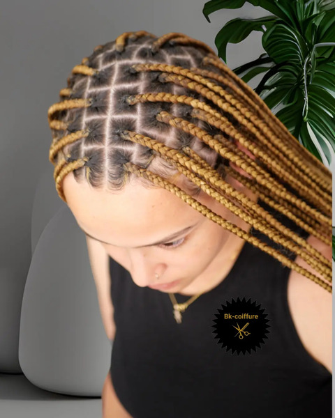 salon de coiffure afro tresse tresses box braids crochet braids vanilles tissages paris 75 77 78 91 92 93 94 95 AOUZOXSC