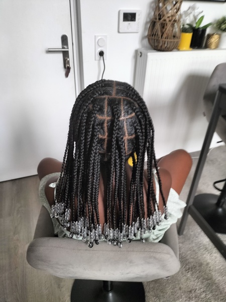 salon de coiffure afro tresse tresses box braids crochet braids vanilles tissages paris 75 77 78 91 92 93 94 95 JKVDBMJF