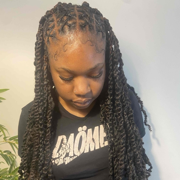 salon de coiffure afro tresse tresses box braids crochet braids vanilles tissages paris 75 77 78 91 92 93 94 95 JQLTRXXQ