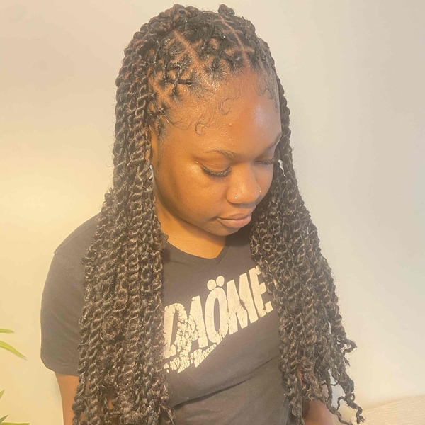 salon de coiffure afro tresse tresses box braids crochet braids vanilles tissages paris 75 77 78 91 92 93 94 95 GWUTLRLP