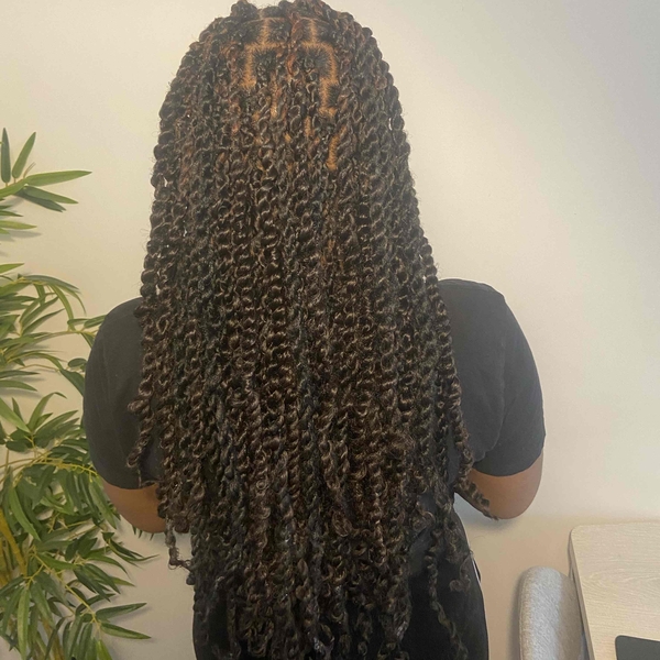 salon de coiffure afro tresse tresses box braids crochet braids vanilles tissages paris 75 77 78 91 92 93 94 95 UWBSTFXO