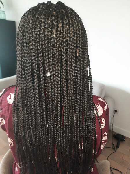 salon de coiffure afro tresse tresses box braids crochet braids vanilles tissages paris 75 77 78 91 92 93 94 95 CWRPSMEI