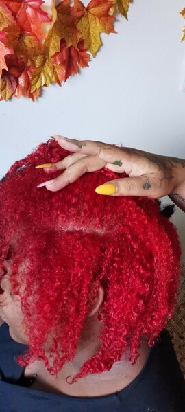 salon de coiffure afro tresse tresses box braids crochet braids vanilles tissages paris 75 77 78 91 92 93 94 95 NMZVGMXG