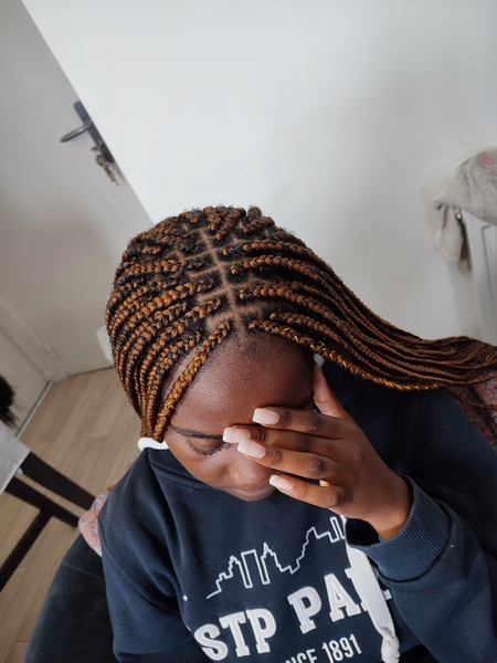 salon de coiffure afro tresse tresses box braids crochet braids vanilles tissages paris 75 77 78 91 92 93 94 95 KJXFKBWT