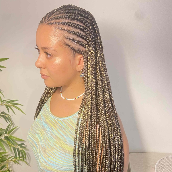 salon de coiffure afro tresse tresses box braids crochet braids vanilles tissages paris 75 77 78 91 92 93 94 95 UWTYPFZB