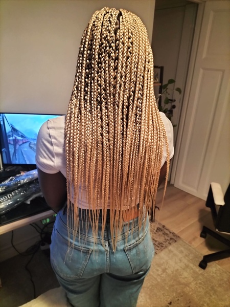 salon de coiffure afro tresse tresses box braids crochet braids vanilles tissages paris 75 77 78 91 92 93 94 95 YGIHPPNF