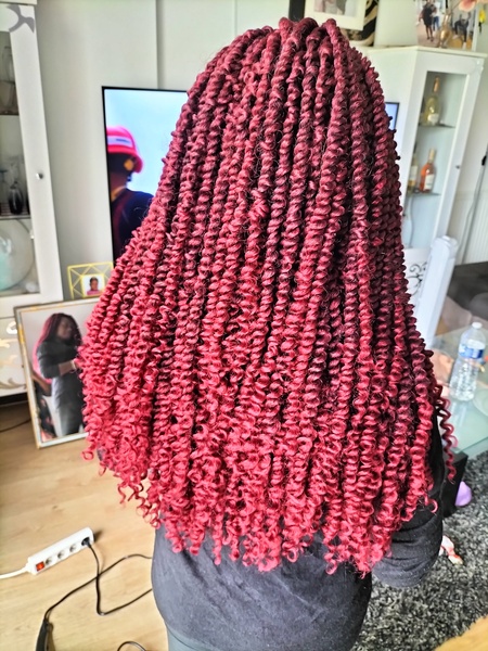 salon de coiffure afro tresse tresses box braids crochet braids vanilles tissages paris 75 77 78 91 92 93 94 95 FAVJQWQN