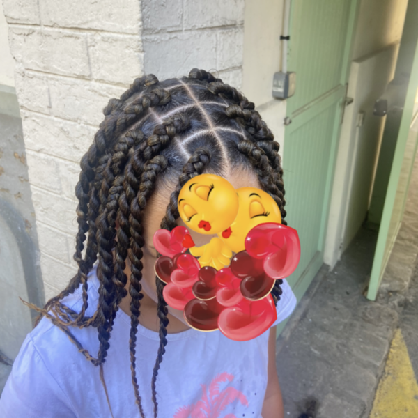 salon de coiffure afro tresse tresses box braids crochet braids vanilles tissages paris 75 77 78 91 92 93 94 95 ZYUWBKHU