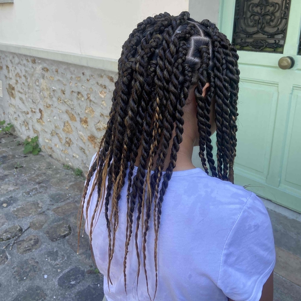 salon de coiffure afro tresse tresses box braids crochet braids vanilles tissages paris 75 77 78 91 92 93 94 95 RNWXSXZZ