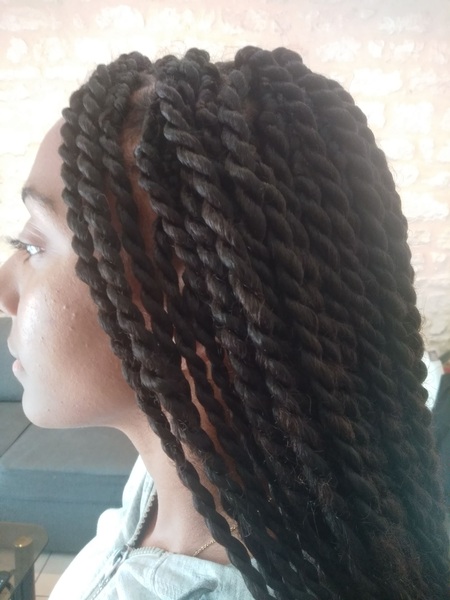 salon de coiffure afro tresse tresses box braids crochet braids vanilles tissages paris 75 77 78 91 92 93 94 95 WTNGMCTN
