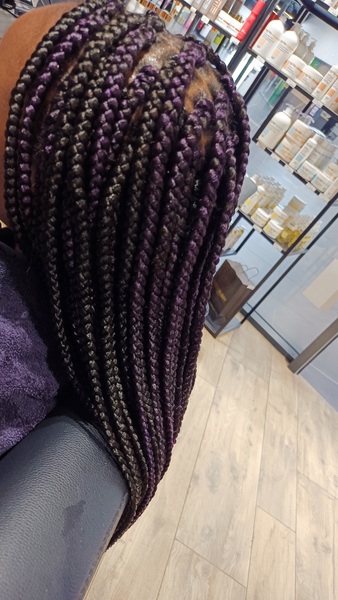 salon de coiffure afro tresse tresses box braids crochet braids vanilles tissages paris 75 77 78 91 92 93 94 95 WRWDXTLE