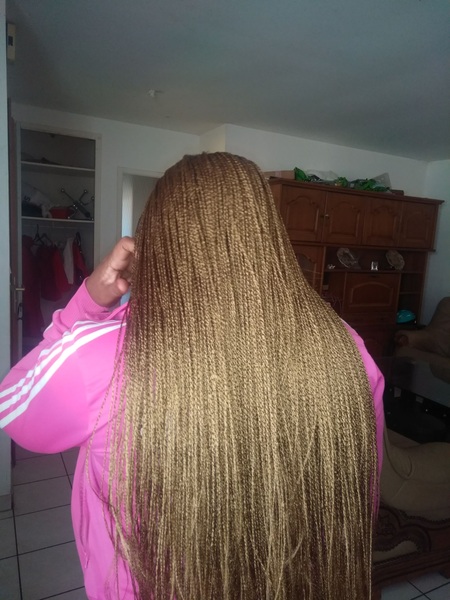 salon de coiffure afro tresse tresses box braids crochet braids vanilles tissages paris 75 77 78 91 92 93 94 95 LCWIJYWM