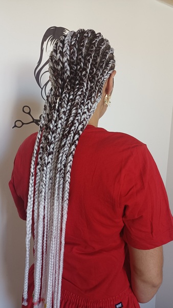 salon de coiffure afro tresse tresses box braids crochet braids vanilles tissages paris 75 77 78 91 92 93 94 95 UKLBYGLM