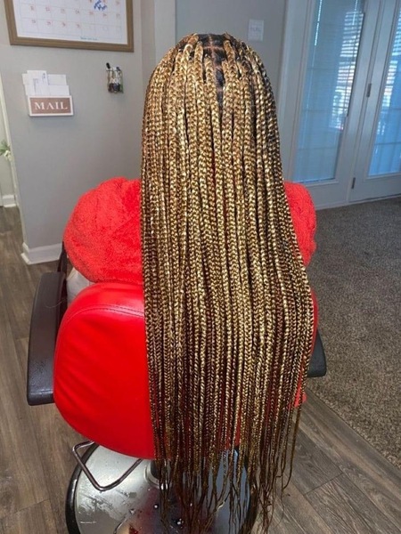 salon de coiffure afro tresse tresses box braids crochet braids vanilles tissages paris 75 77 78 91 92 93 94 95 AKLLJJNT