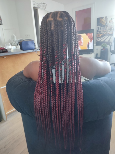 salon de coiffure afro tresse tresses box braids crochet braids vanilles tissages paris 75 77 78 91 92 93 94 95 GALEBRKG