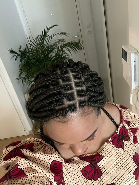 salon de coiffure afro tresse tresses box braids crochet braids vanilles tissages paris 75 77 78 91 92 93 94 95 EUTCJIBV
