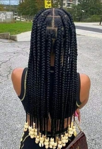 salon de coiffure afro tresse tresses box braids crochet braids vanilles tissages paris 75 77 78 91 92 93 94 95 TEFQHQSZ