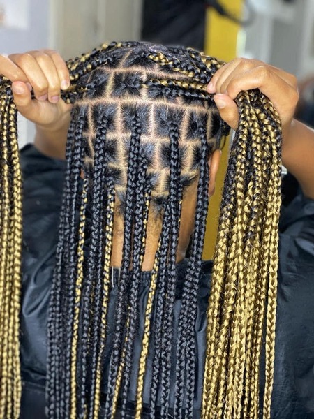 salon de coiffure afro tresse tresses box braids crochet braids vanilles tissages paris 75 77 78 91 92 93 94 95 DKHYKTGH