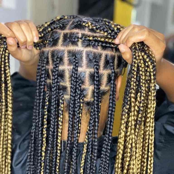salon de coiffure afro tresse tresses box braids crochet braids vanilles tissages paris 75 77 78 91 92 93 94 95 AHRRJBFN