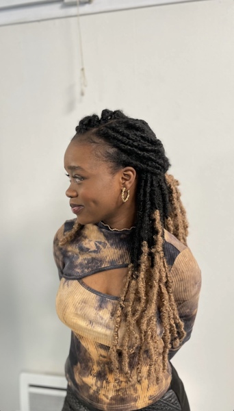 salon de coiffure afro tresse tresses box braids crochet braids vanilles tissages paris 75 77 78 91 92 93 94 95 TLZUBNVA
