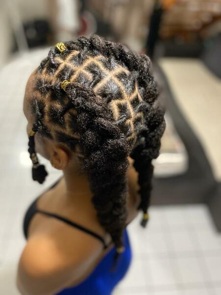salon de coiffure afro tresse tresses box braids crochet braids vanilles tissages paris 75 77 78 91 92 93 94 95 CBGMCSNI