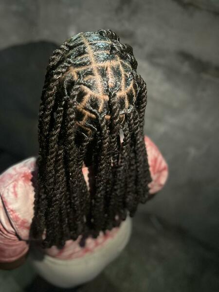 salon de coiffure afro tresse tresses box braids crochet braids vanilles tissages paris 75 77 78 91 92 93 94 95 UJYCJJKG