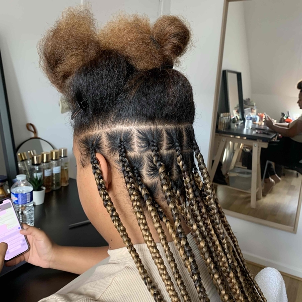 salon de coiffure afro tresse tresses box braids crochet braids vanilles tissages paris 75 77 78 91 92 93 94 95 EOZQJFSC