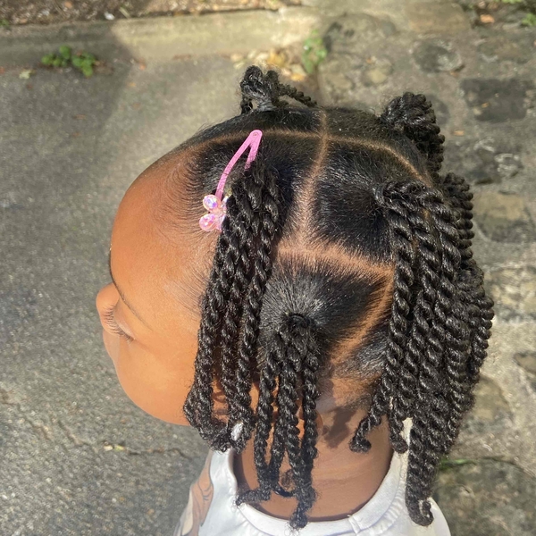 salon de coiffure afro tresse tresses box braids crochet braids vanilles tissages paris 75 77 78 91 92 93 94 95 CCCAZQHO
