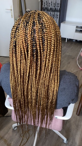 salon de coiffure afro tresse tresses box braids crochet braids vanilles tissages paris 75 77 78 91 92 93 94 95 DFHMNAEA