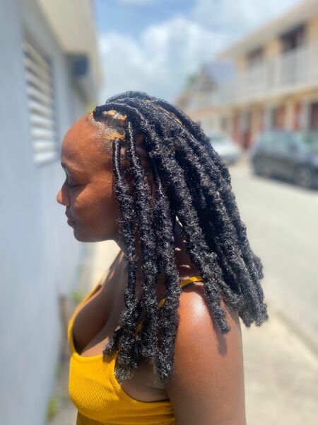 salon de coiffure afro tresse tresses box braids crochet braids vanilles tissages paris 75 77 78 91 92 93 94 95 ESNXMRAU