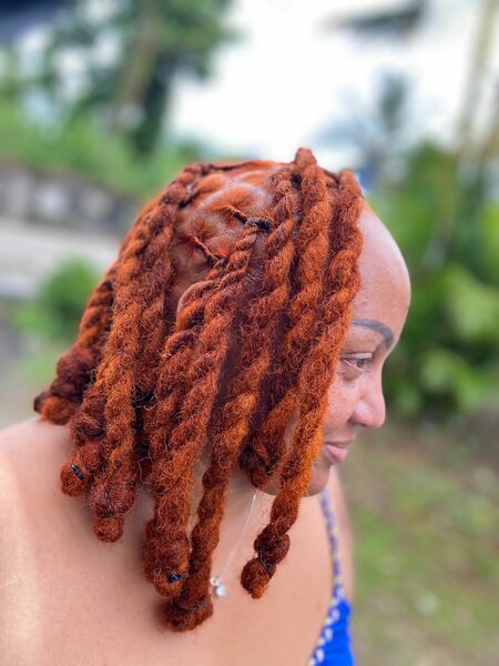 salon de coiffure afro tresse tresses box braids crochet braids vanilles tissages paris 75 77 78 91 92 93 94 95 LXGKYZRT