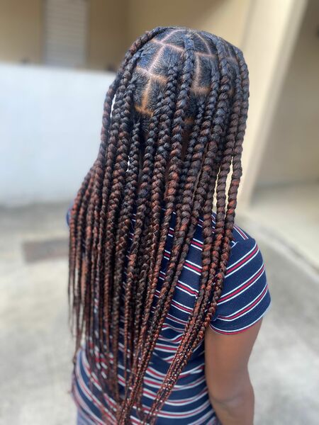 salon de coiffure afro tresse tresses box braids crochet braids vanilles tissages paris 75 77 78 91 92 93 94 95 UASIXMGT