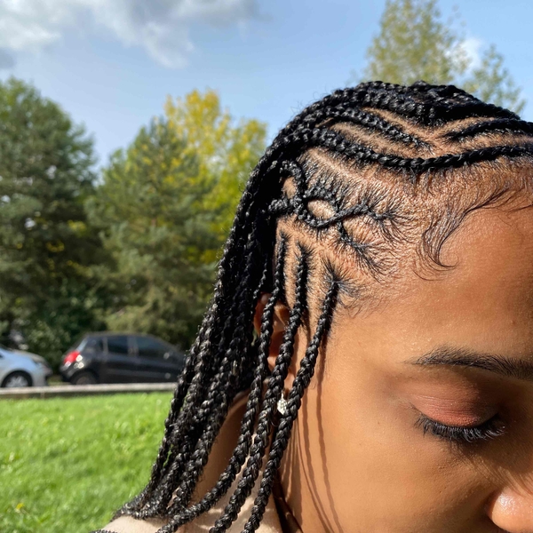 salon de coiffure afro tresse tresses box braids crochet braids vanilles tissages paris 75 77 78 91 92 93 94 95 KEBQMWUK