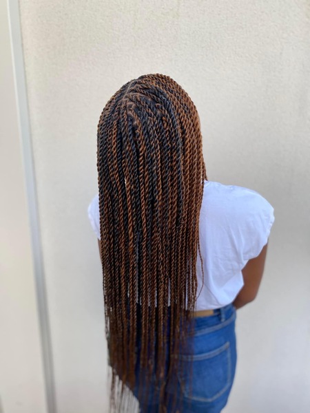 salon de coiffure afro tresse tresses box braids crochet braids vanilles tissages paris 75 77 78 91 92 93 94 95 FSUICAJA