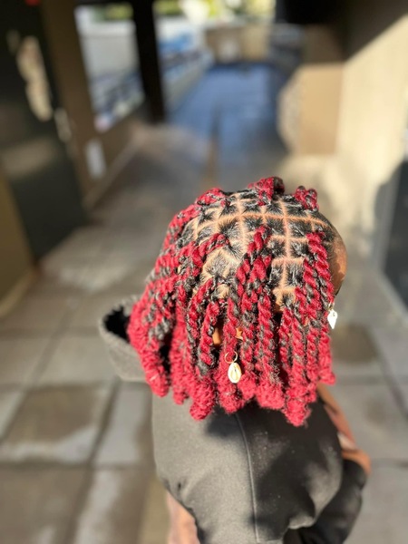 salon de coiffure afro tresse tresses box braids crochet braids vanilles tissages paris 75 77 78 91 92 93 94 95 EAATMMMT