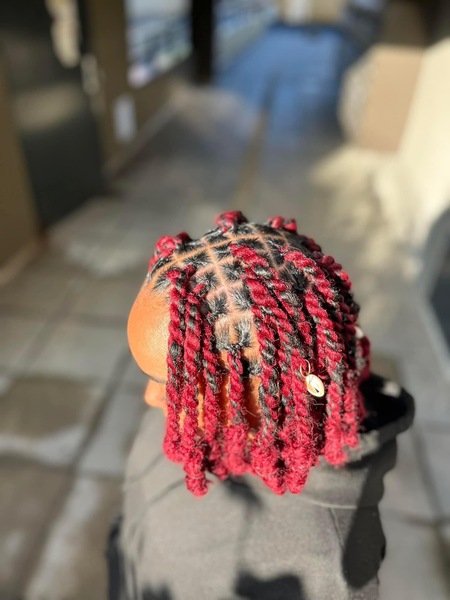 salon de coiffure afro tresse tresses box braids crochet braids vanilles tissages paris 75 77 78 91 92 93 94 95 HLFIBJYY