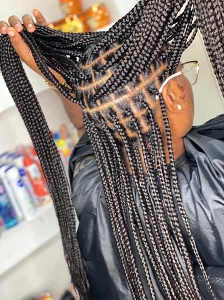 salon de coiffure afro tresse tresses box braids crochet braids vanilles tissages paris 75 77 78 91 92 93 94 95 JBVIOVWL