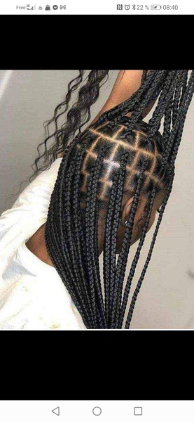 salon de coiffure afro tresse tresses box braids crochet braids vanilles tissages paris 75 77 78 91 92 93 94 95 TQNLALPF
