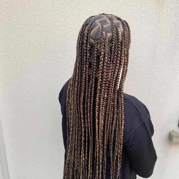 salon de coiffure afro tresse tresses box braids crochet braids vanilles tissages paris 75 77 78 91 92 93 94 95 PCZMUNCS