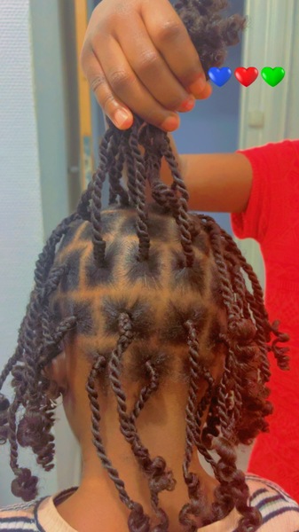 salon de coiffure afro tresse tresses box braids crochet braids vanilles tissages paris 75 77 78 91 92 93 94 95 SABXXVZT