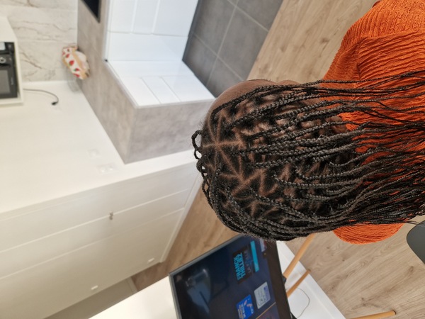 salon de coiffure afro tresse tresses box braids crochet braids vanilles tissages paris 75 77 78 91 92 93 94 95 QGSCGYSV