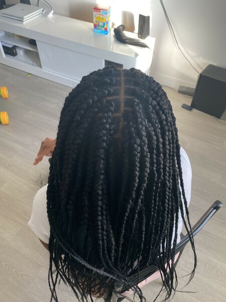 salon de coiffure afro tresse tresses box braids crochet braids vanilles tissages paris 75 77 78 91 92 93 94 95 TBQWLQLX
