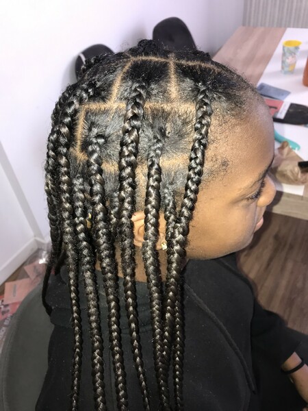 salon de coiffure afro tresse tresses box braids crochet braids vanilles tissages paris 75 77 78 91 92 93 94 95 OWSTAAST