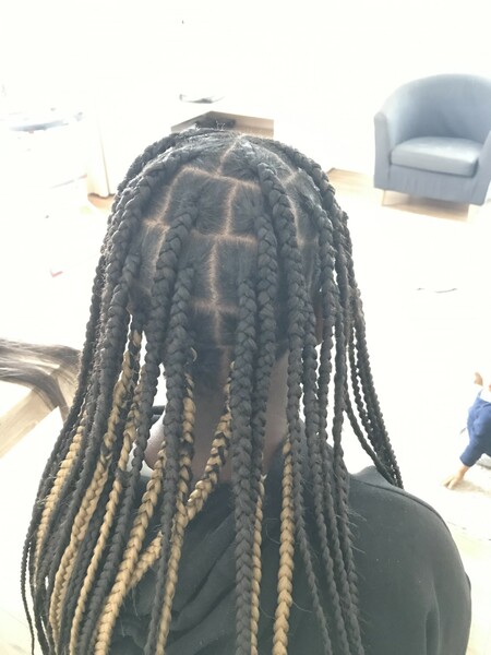 salon de coiffure afro tresse tresses box braids crochet braids vanilles tissages paris 75 77 78 91 92 93 94 95 TRMLJOGD