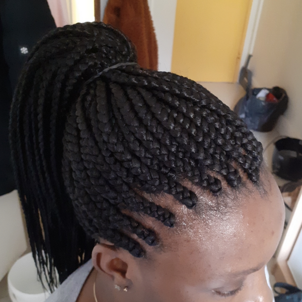 salon de coiffure afro tresse tresses box braids crochet braids vanilles tissages paris 75 77 78 91 92 93 94 95 NFTNDCQS