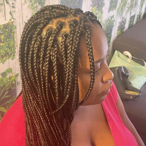 salon de coiffure afro tresse tresses box braids crochet braids vanilles tissages paris 75 77 78 91 92 93 94 95 EHTWCAUU