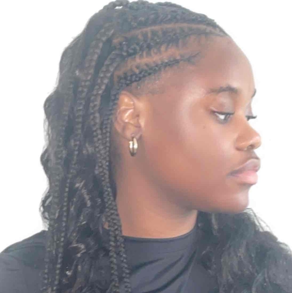 salon de coiffure afro tresse tresses box braids crochet braids vanilles tissages paris 75 77 78 91 92 93 94 95 UKSIEGTK